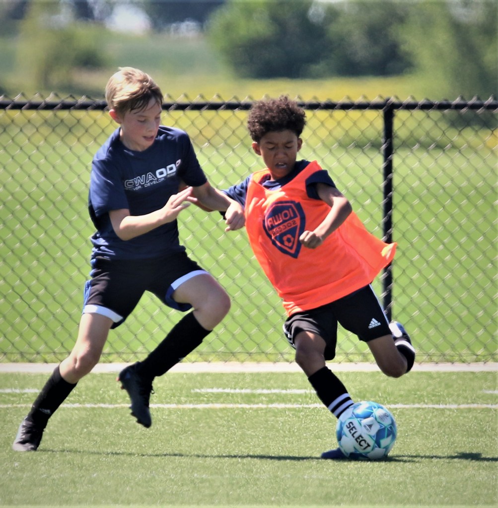 action iowa odp